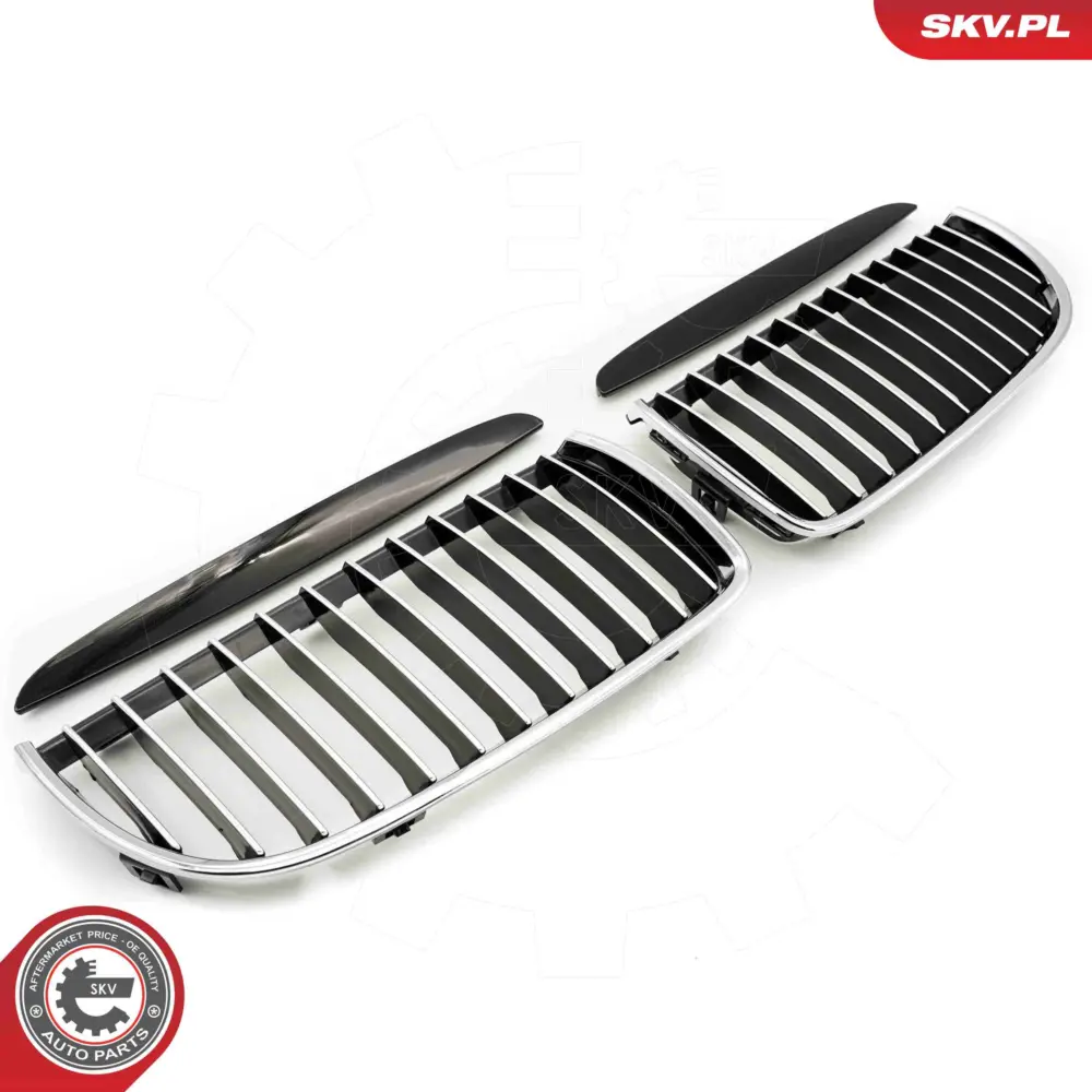 Griglia del radiatore per BMW Serie 3 (E90 E91) 51137117241