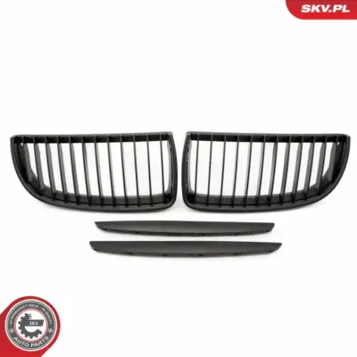 Griglia del radiatore per BMW Serie 3 (E90 E91) 51137117241