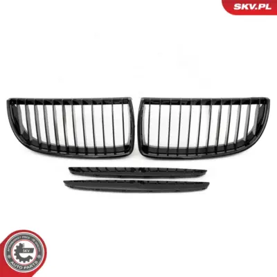 Griglia del radiatore per BMW Serie 3 (E90 E91) 51137117241