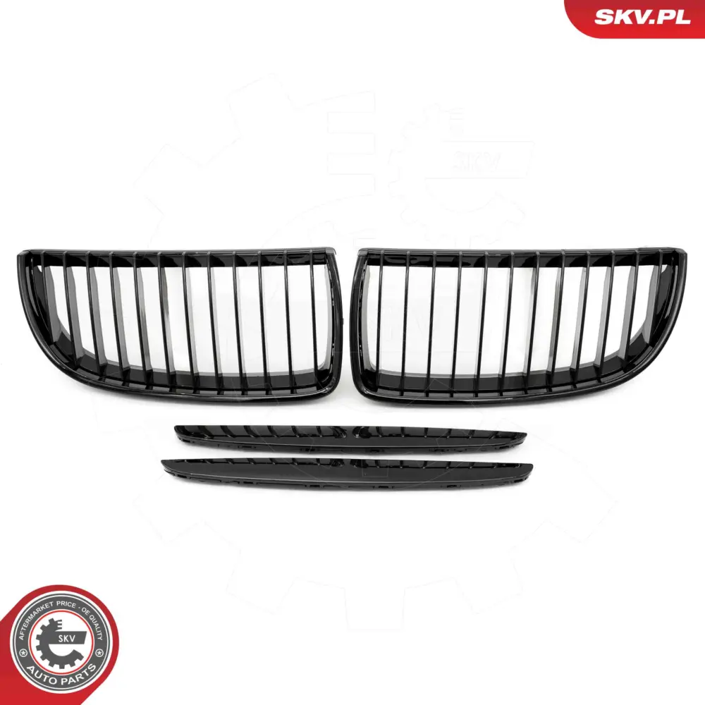 Griglia del radiatore per BMW Serie 3 (E90 E91) 51137117241