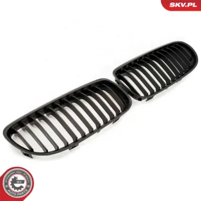 Griglia del radiatore per BMW Serie 3 (E93 E92) 51137157275