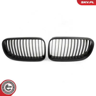 Griglia del radiatore per BMW Serie 3 (E93 E92) 51137254969