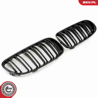 Griglia del radiatore per BMW Serie 3 (E93 E92) 51137254969