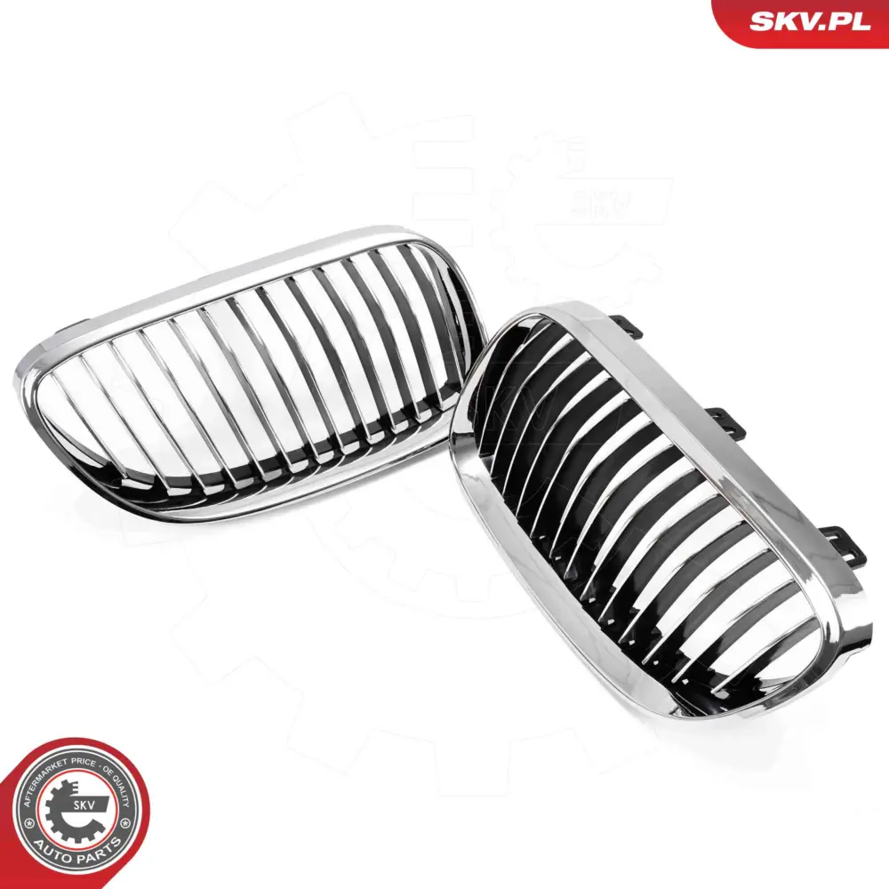 Griglia del radiatore per BMW Serie 3 (E93 E92) 51137254969