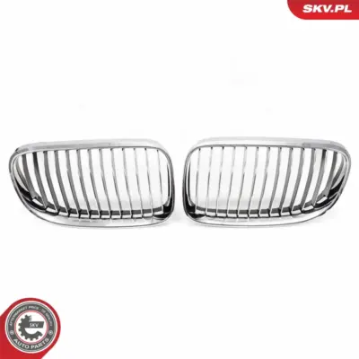 Griglia del radiatore per BMW Serie 3 (E93 E92) 51137254969