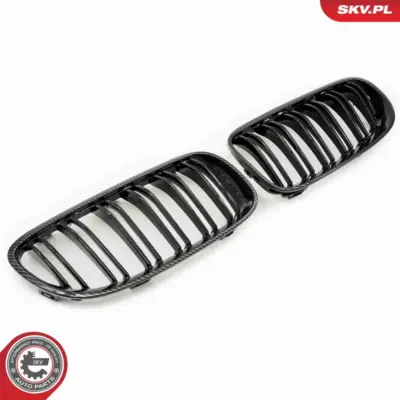 Griglia del radiatore per BMW Serie 3 (E93 E92) 51137254969