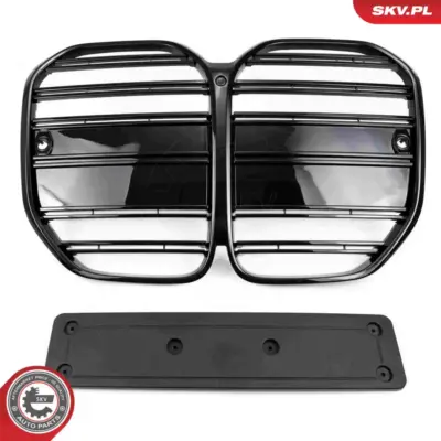 Griglia del radiatore per BMW Serie 4 (G22 G82) 51137486809