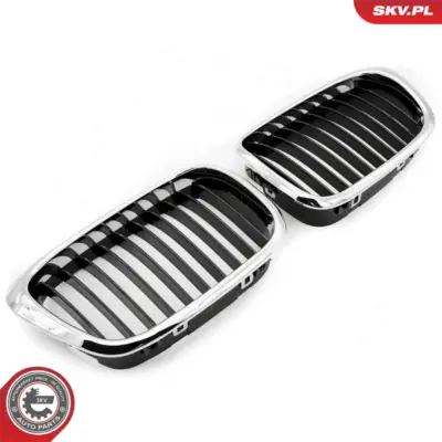 Griglia del radiatore per BMW Serie 5 (E39) 51132497261