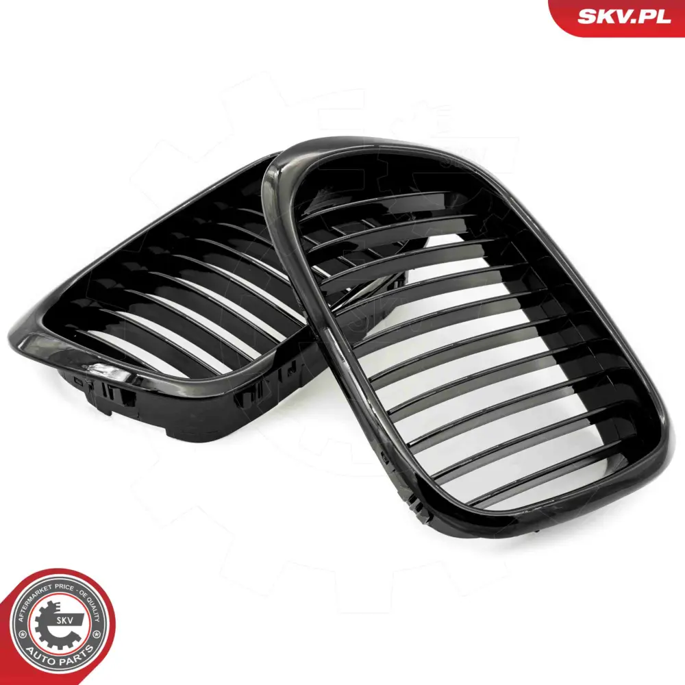 Griglia del radiatore per BMW Serie 5 (E39) 51132497261