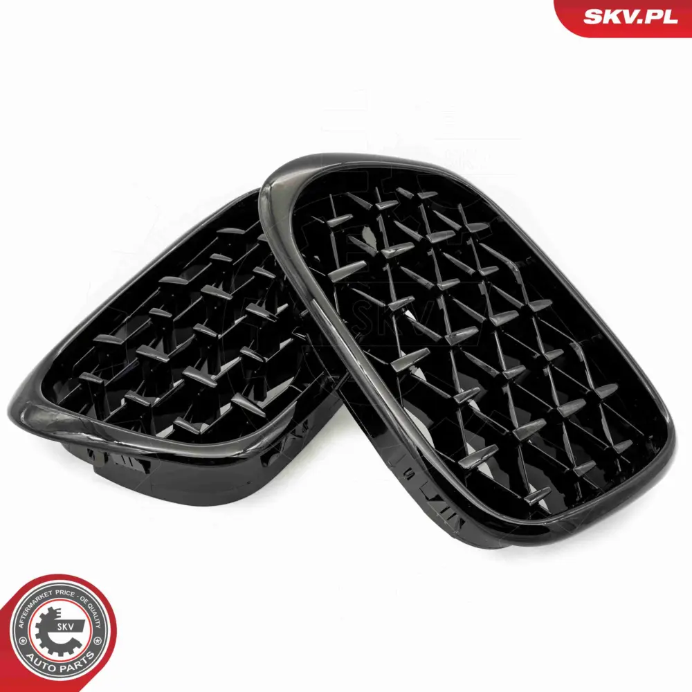 Griglia del radiatore per BMW Serie 5 (E39) 51132497261