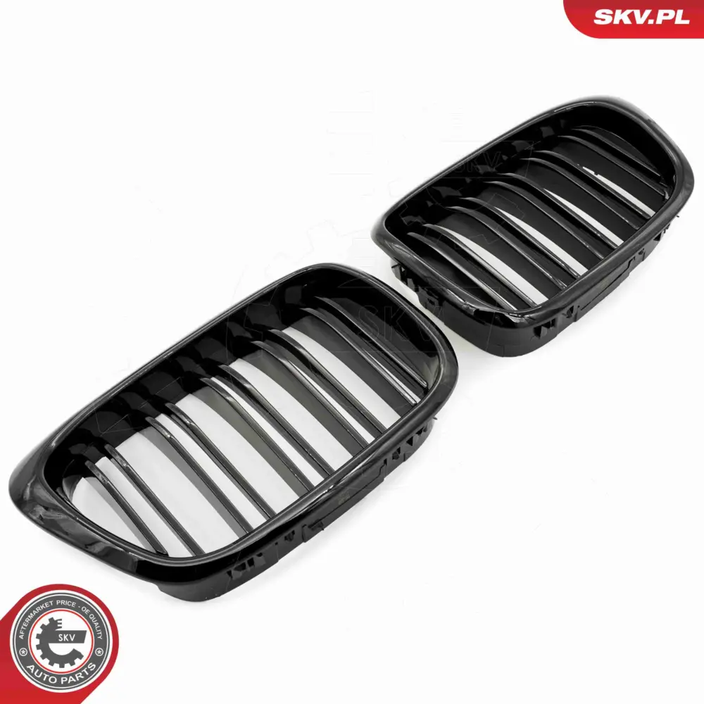 Griglia del radiatore per BMW Serie 5 (E39) 51132497261