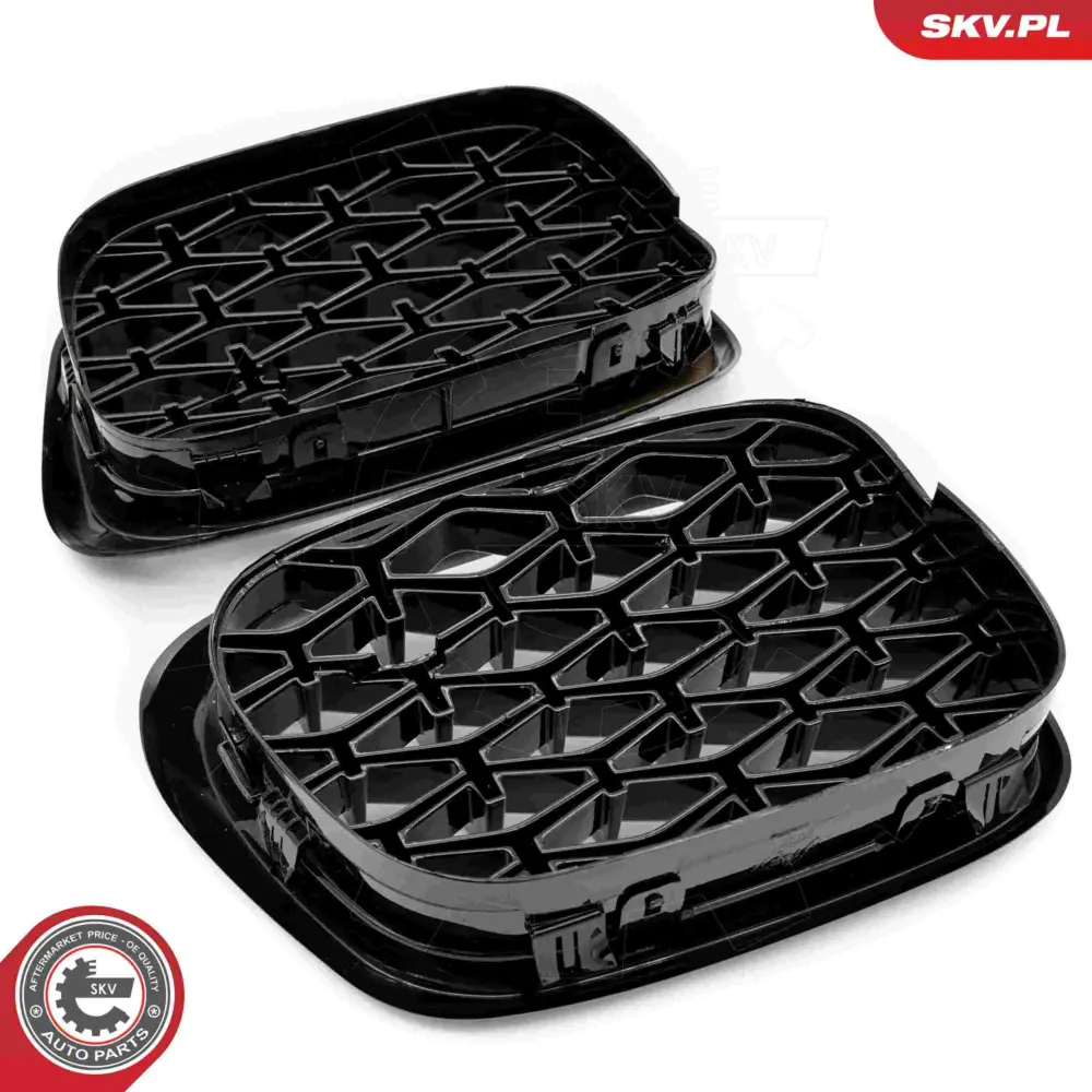 Griglia del radiatore per BMW Serie 5 (E39) 51132497261