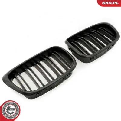Griglia del radiatore per BMW Serie 5 (E39) 51132497261