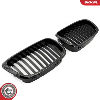 Griglia del radiatore per BMW Serie 5 (E39) 51132497261