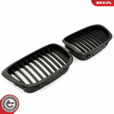 Griglia del radiatore per BMW Serie 5 (E39) 51132497261