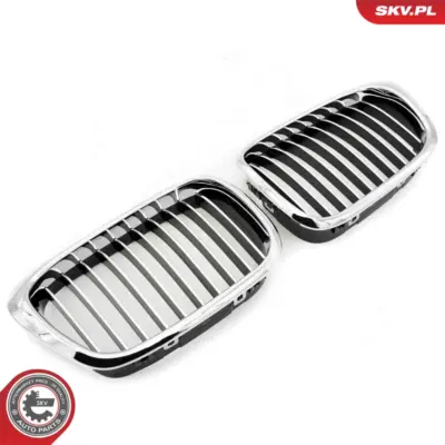 Griglia del radiatore per BMW Serie 5 (E39) 51132497261