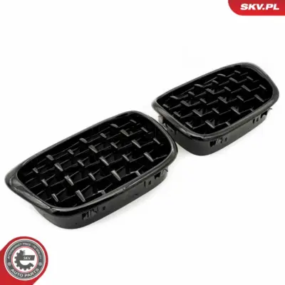 Griglia del radiatore per BMW Serie 5 (E39) 51132497261