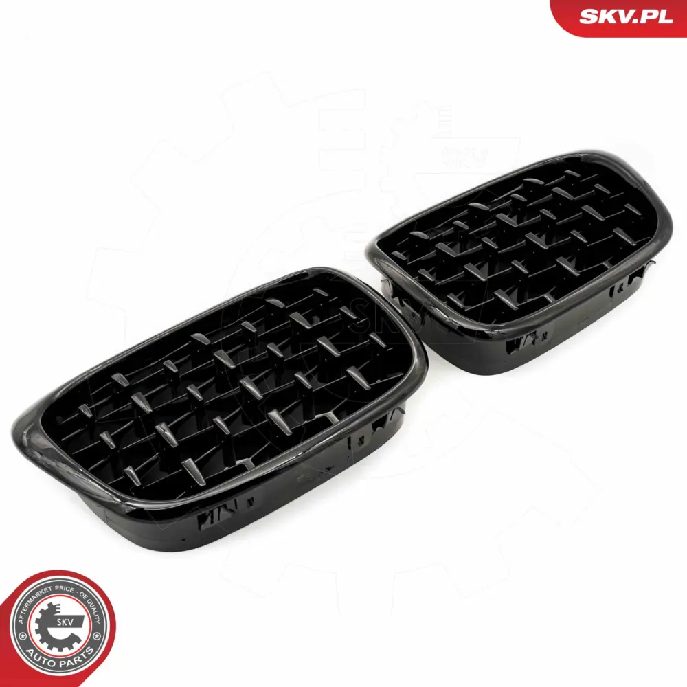 Griglia del radiatore per BMW Serie 5 (E39) 51132497261