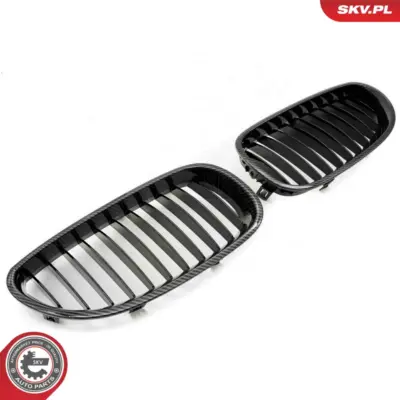 Griglia del radiatore per BMW Serie 5 (E60 E61) 51137027061