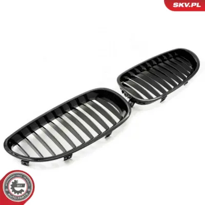 Griglia del radiatore per BMW Serie 5 (E60 E61) 51137027061
