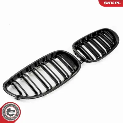 Griglia del radiatore per BMW Serie 5 (E60 E61) 51137027061