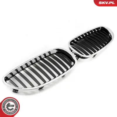 Griglia del radiatore per BMW Serie 5 (E60 E61) 51137027061