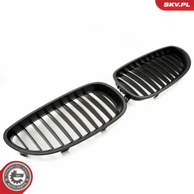 Griglia del radiatore per BMW Serie 5 (E60 E61) 51137027061