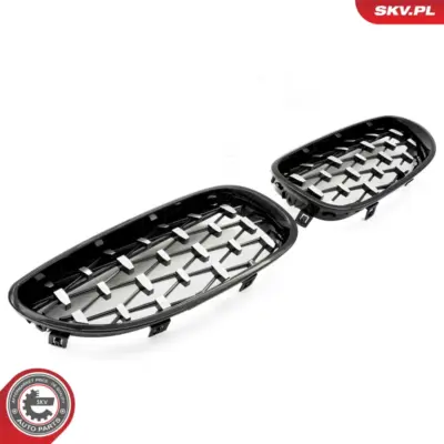 Griglia del radiatore per BMW Serie 5 (E60 E61) 51137027061