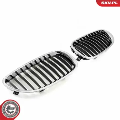 Griglia del radiatore per BMW Serie 5 (E60 E61) 51137027061