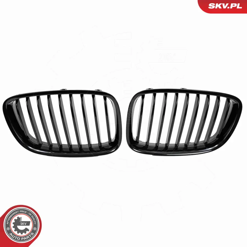 Griglia del radiatore per BMW Serie 5 (F07) 51137200169
