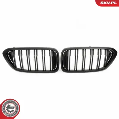 Griglia del radiatore per BMW Serie 6 (G32) 51137412421