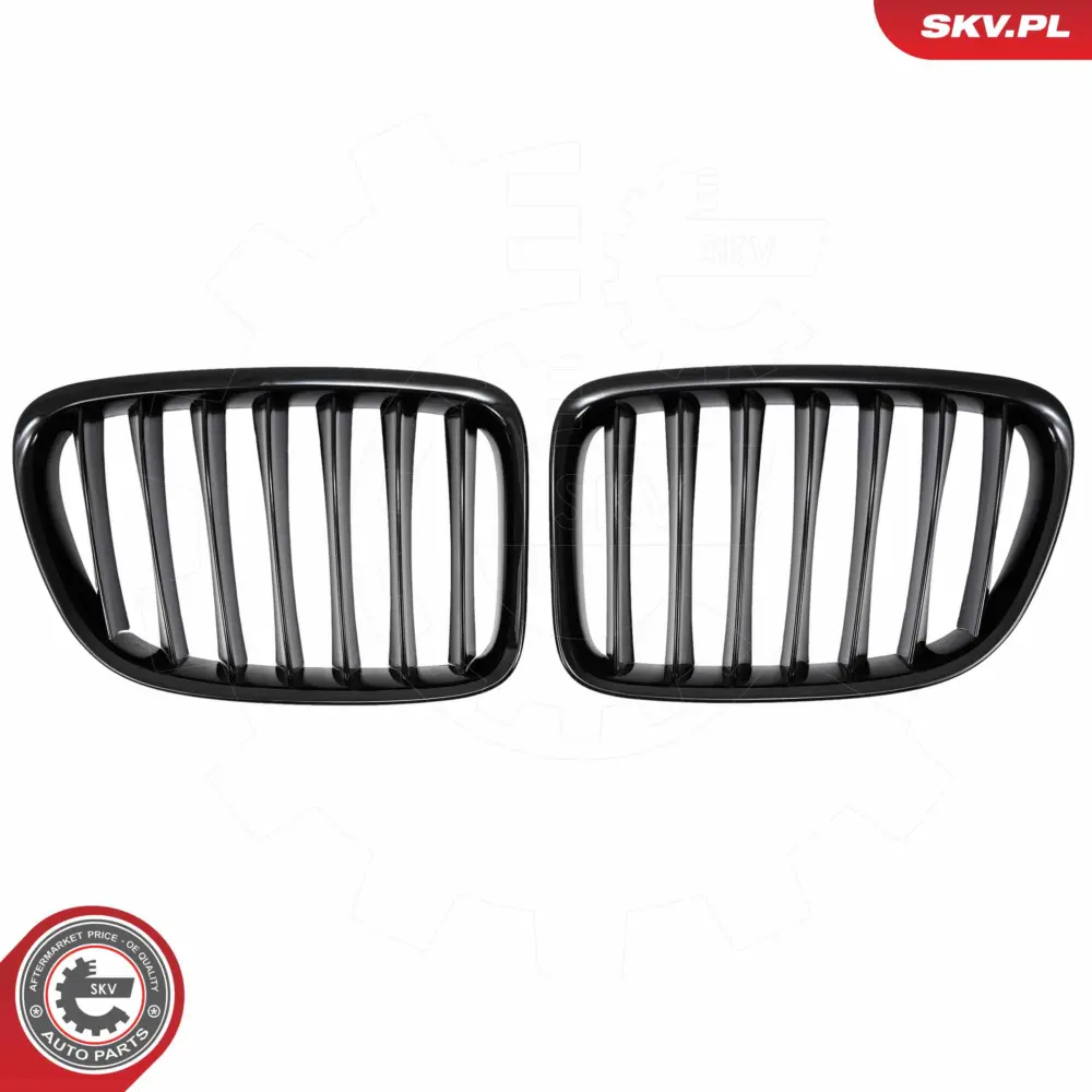 Griglia del radiatore per BMW X1 (E84) 51112993305