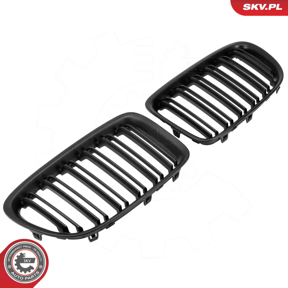 Griglia del radiatore per BMW X1 (E84) 51112993305