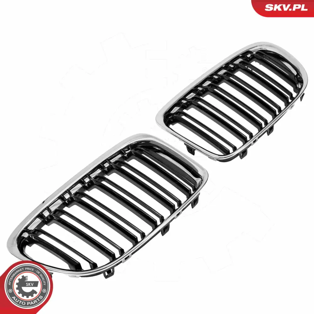 Griglia del radiatore per BMW X1 (E84) 51112993305