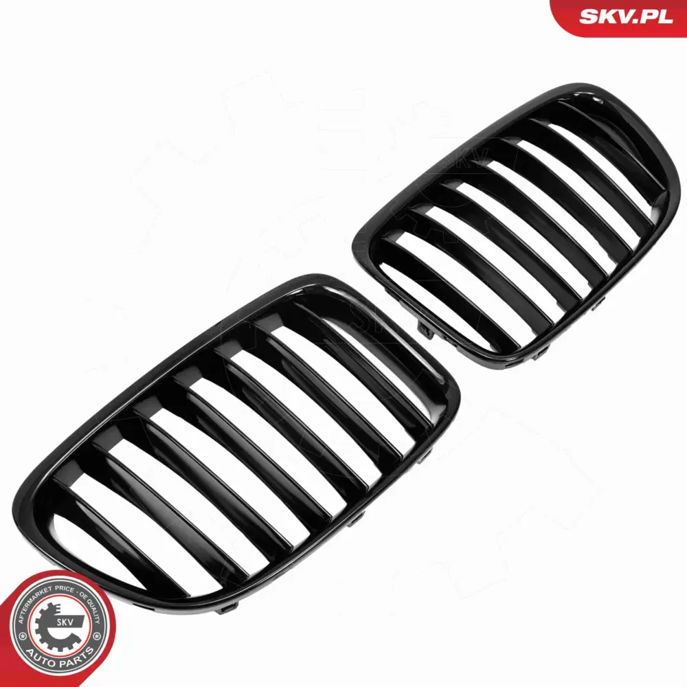 Griglia del radiatore per BMW X1 (E84) 51112993305