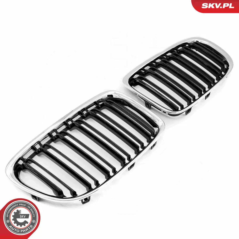 Griglia del radiatore per BMW X1 (E84) 51112993305