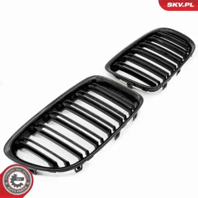 Griglia del radiatore per BMW X1 (E84) 51112993305