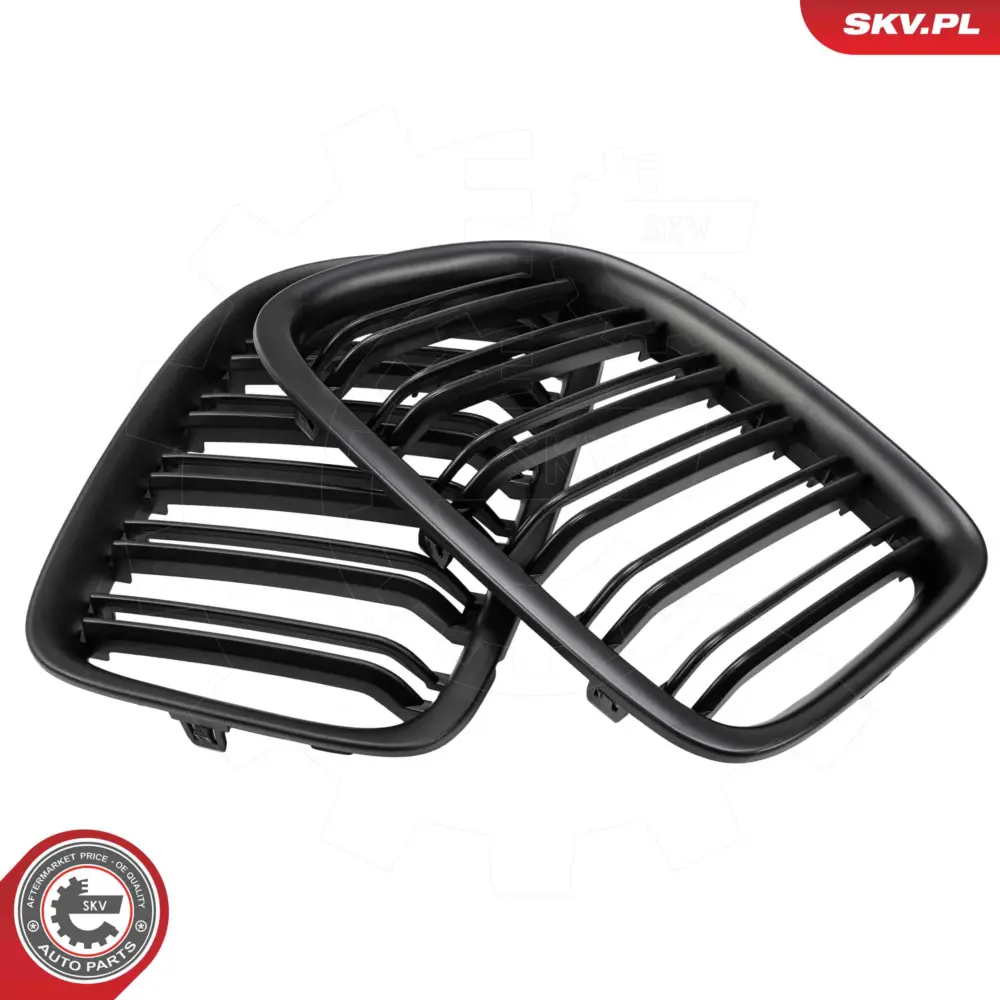 Griglia del radiatore per BMW X1 (E84) 51112993305