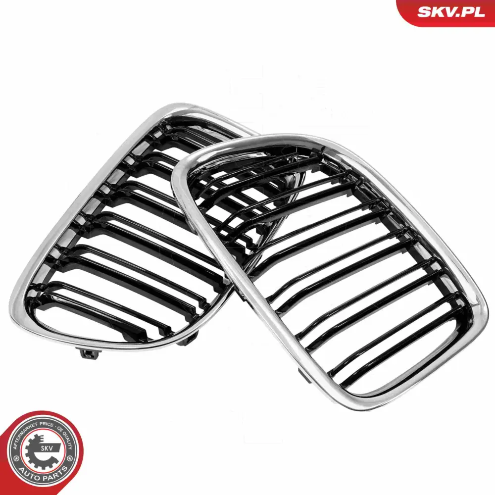 Griglia del radiatore per BMW X1 (E84) 51112993305