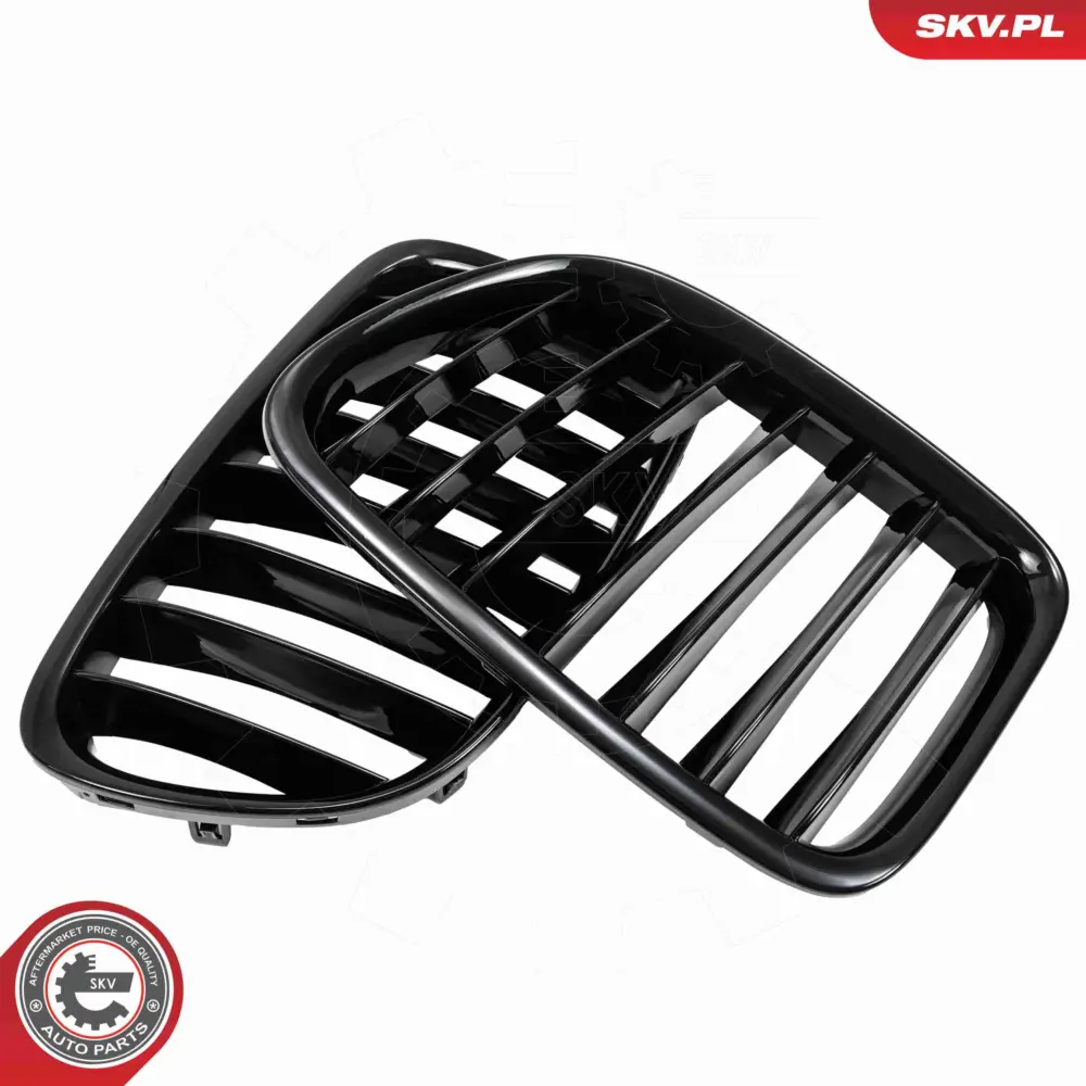 Griglia del radiatore per BMW X1 (E84) 51112993305