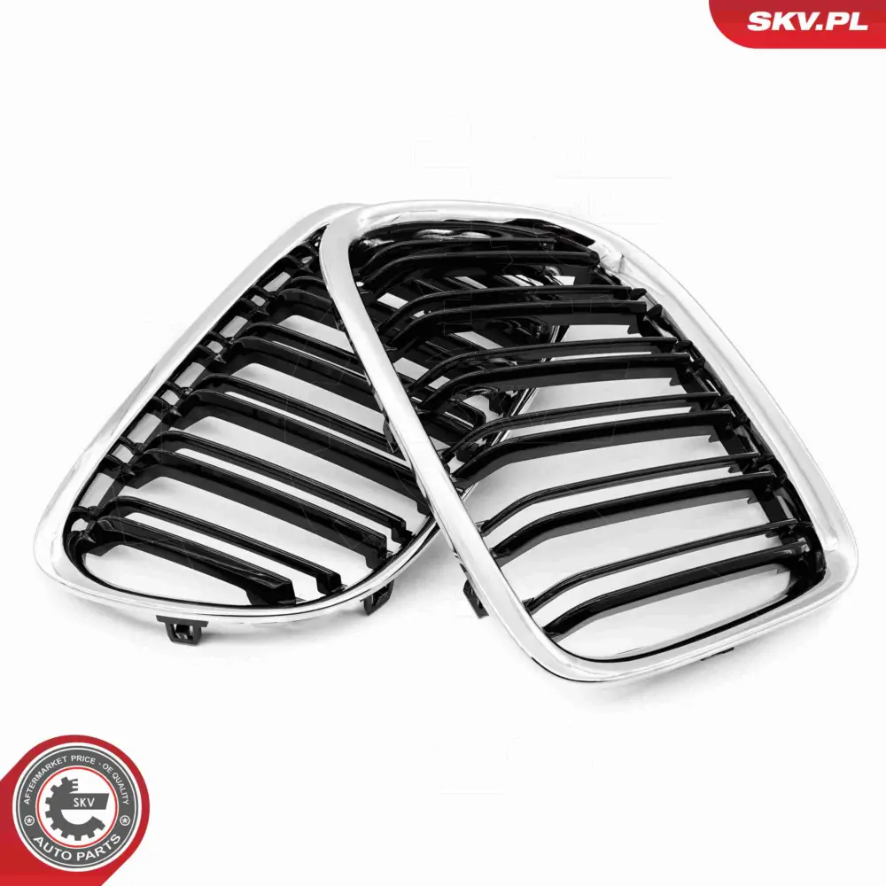 Griglia del radiatore per BMW X1 (E84) 51112993305