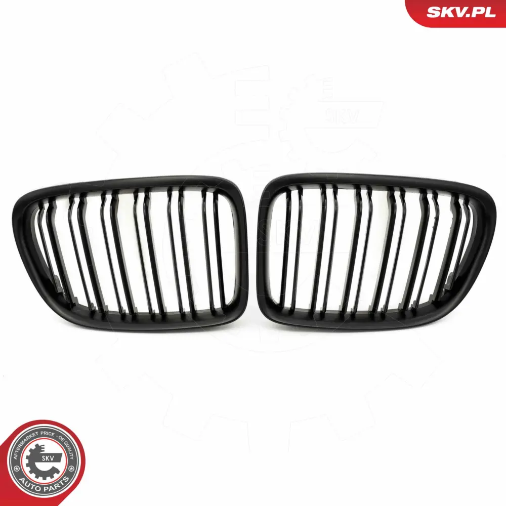 Griglia del radiatore per BMW X1 (E84) 51112993305