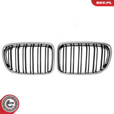 Griglia del radiatore per BMW X1 (E84) 51112993305