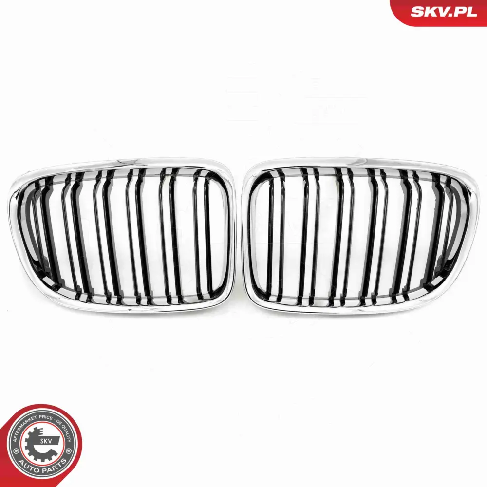 Griglia del radiatore per BMW X1 (E84) 51112993305