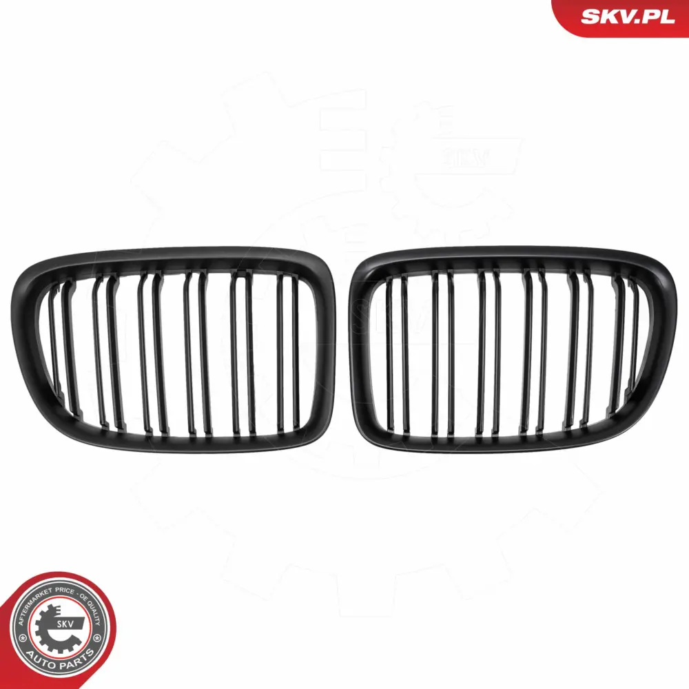 Griglia del radiatore per BMW X1 (E84) 51112993305