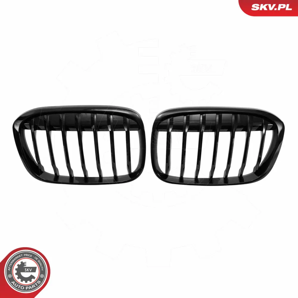 Griglia del radiatore per BMW X1 (F48) 51117383364