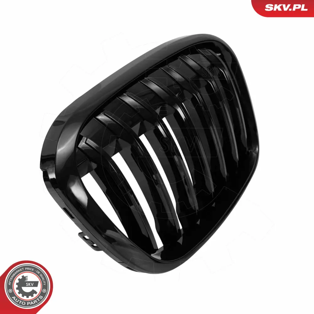 Griglia del radiatore per BMW X1 (F48) 51117383364
