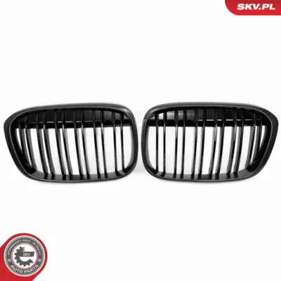 Griglia del radiatore per BMW X1 (F48) 51117383364