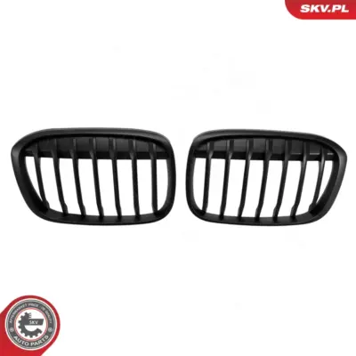 Griglia del radiatore per BMW X1 (F48) 51117383364