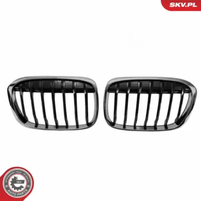 Griglia del radiatore per BMW X1 (F48) 51117383364